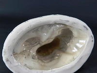 Dehua blanc de chine luoha in kleermakerszit met oorringen met blindstempel op ovale voet met stressbal in de hand 19/20e eeuw - afbeelding 4 van  5