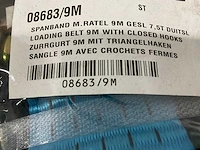 Dekra - spanband met ratel lengte 9 meter (5x) - afbeelding 3 van  3