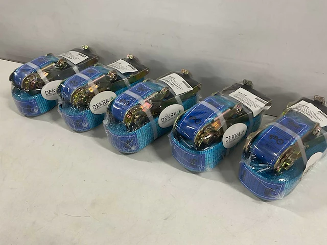 Dekra - spanband met ratel lengte 9 meter (5x) - afbeelding 1 van  3