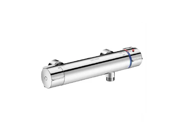 Delabie securitherm 9769 thermostatische douchekraan (2x) - afbeelding 1 van  6