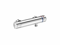 Delabie securitherm 9769 thermostatische douchekraan (2x) - afbeelding 1 van  6