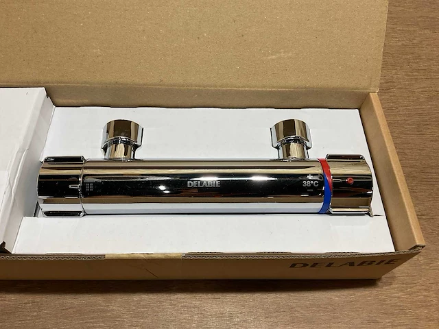 Delabie securitherm 9769 thermostatische douchekraan (2x) - afbeelding 4 van  6