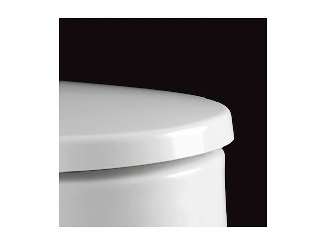 Delight wc bril met softclose mechanisme wit - afbeelding 3 van  4