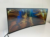 Dell (u3417w) 34”, 3440x1440 (uwqhd) ips monitor - afbeelding 3 van  7