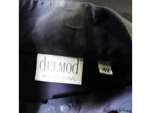 Delmod - afbeelding 5 van  5