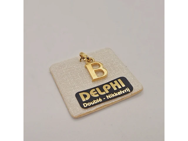 Delphi juwelier 18kt doublé gouden pendant - afbeelding 1 van  3