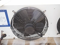 Delta - afbeelding 6 van  8
