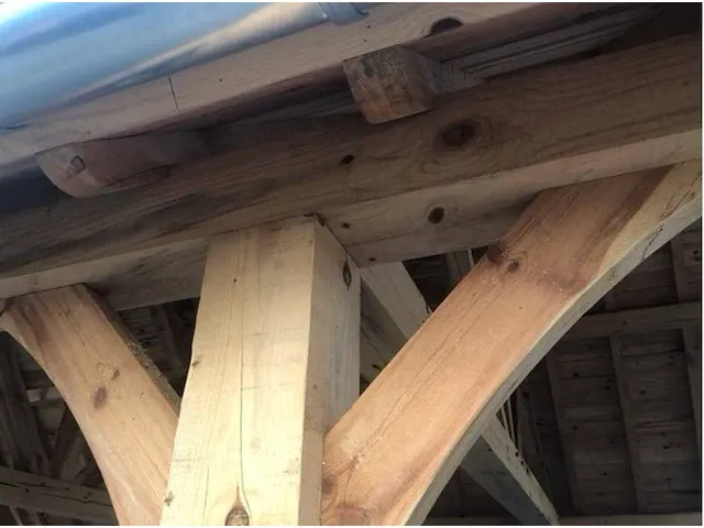 Dennen bijgebouw 'marnix' - afbeelding 3 van  15