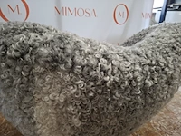 Design fauteuil house of finn, juhl pelican chair - afbeelding 5 van  7