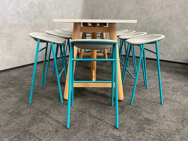 Devorm/ dum - 10persoons design set 239x89 - afbeelding 6 van  17