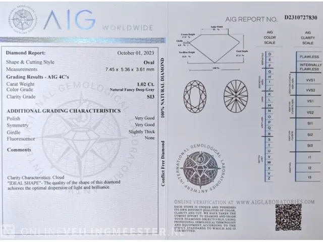 Diamant - 1.02 karaat echte diamant (gecertificeerd) - afbeelding 8 van  8
