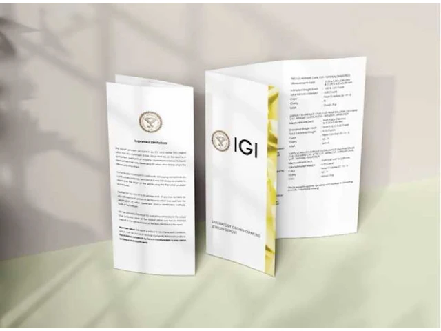 Diamant - ovaal 2.05 ct - d/vs1 ( igi gecertificeerd ) - afbeelding 6 van  7