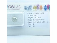 Diamant 1,01 crt. naturel kleur f - afbeelding 4 van  5