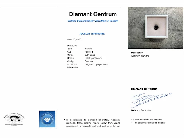 Diamant zwart 3.84 ct - afbeelding 3 van  3