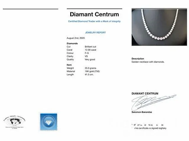 Diamanten collier met 800 briljant geslepen diamanten 12.00 carat - afbeelding 5 van  5