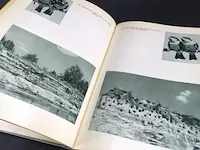 Die weichsel (1956) - afbeelding 4 van  5
