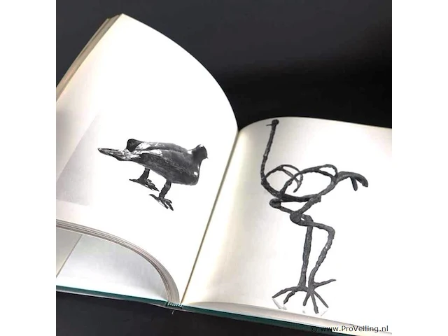 Diego giacometti. catalogue de l'ouvre - afbeelding 3 van  5