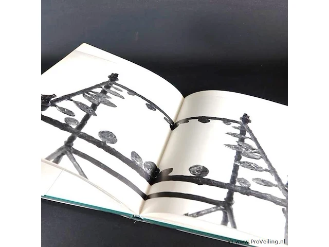 Diego giacometti. catalogue de l'ouvre - afbeelding 5 van  5