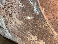 Dieplepelbak cw20 - afbeelding 9 van  10