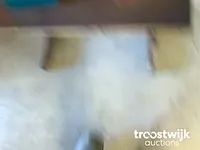 Dieselverstuivertester - afbeelding 5 van  9