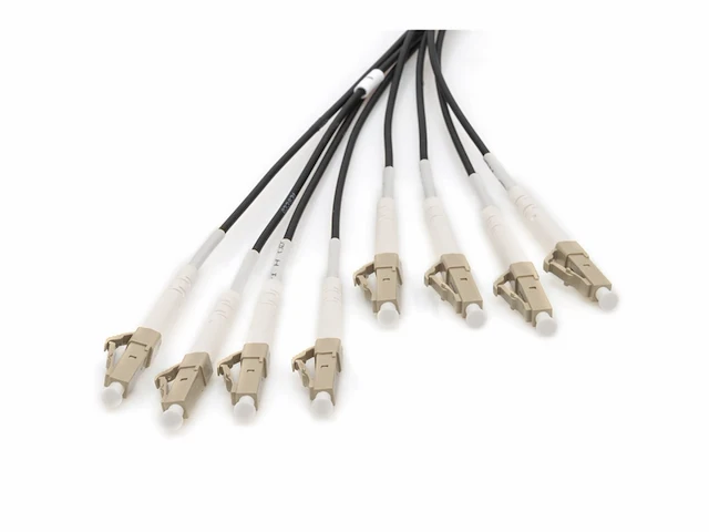 Digitus dk-24338u075bk-bbb infiniband en glasvezelkabel 75 m lc u-dq bh zwart - afbeelding 3 van  5