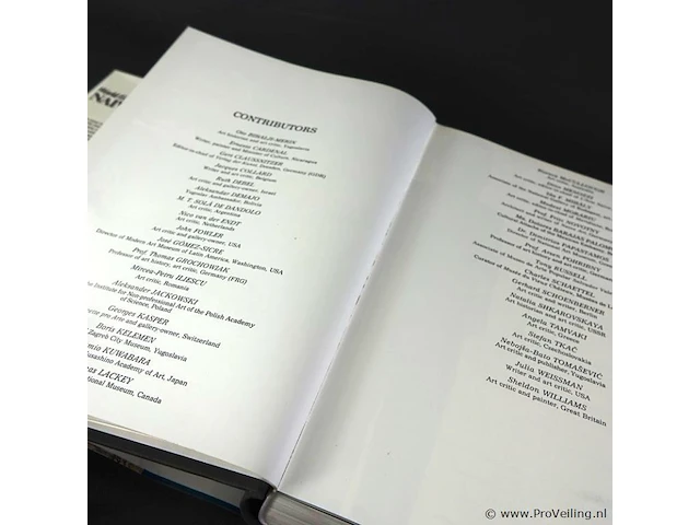 Dik boek naive art - afbeelding 3 van  5