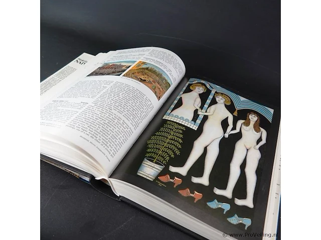Dik boek naive art - afbeelding 4 van  5