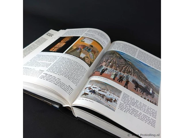 Dik boek naive art - afbeelding 5 van  5