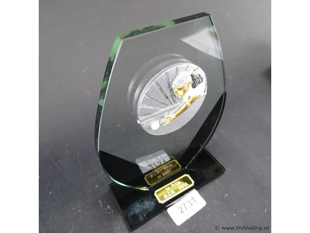 Dikglazen trofee - afbeelding 2 van  5