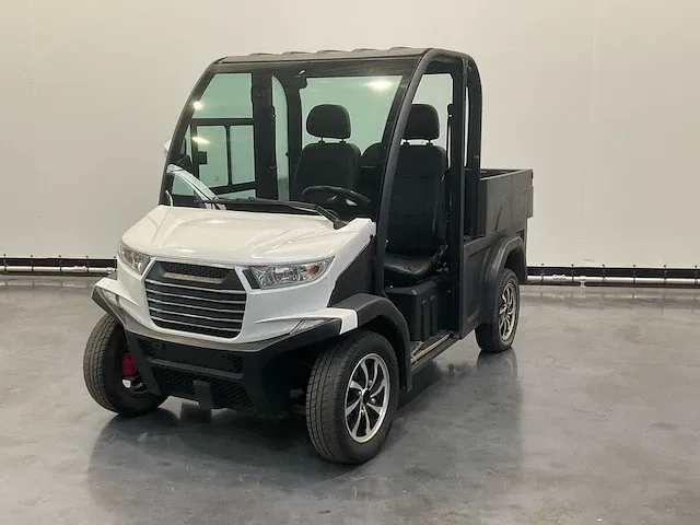 Divaco d-line dv-2xc golfkar - afbeelding 1 van  15