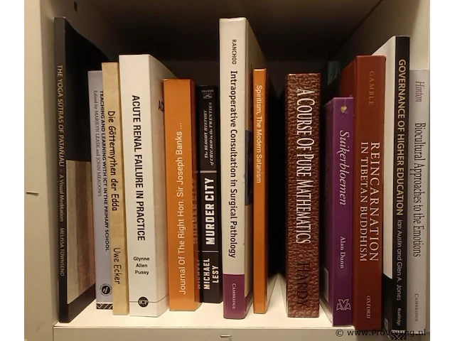 Diverse boeken - ca 13 stuks - afbeelding 1 van  1