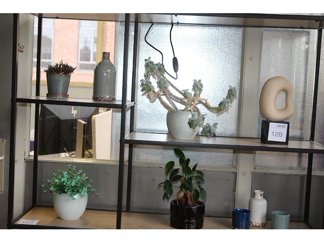 Diverse decoratie in schappenkast. - afbeelding 1 van  2