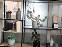 Diverse decoratie in schappenkast. - afbeelding 1 van  2