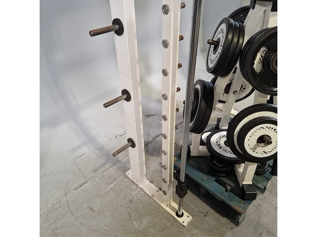 Diverse fitnes apparatuur en gewichten, technogym - afbeelding 8 van  12