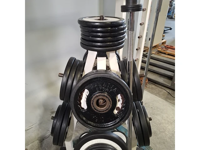 Diverse fitnes apparatuur en gewichten, technogym - afbeelding 12 van  12