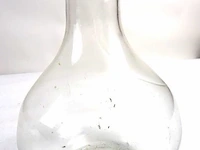 Diverse glaswerk - afbeelding 3 van  7
