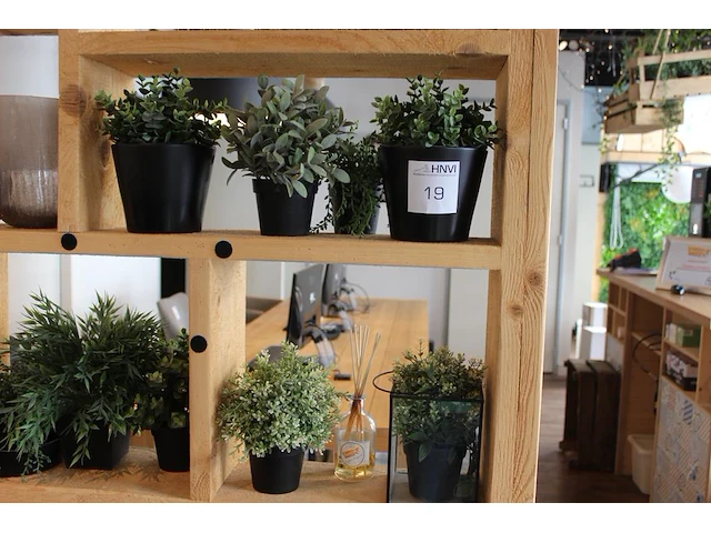 Diverse kunststof plantjes op drie schappen. - afbeelding 1 van  2