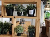 Diverse kunststof plantjes op drie schappen. - afbeelding 1 van  2