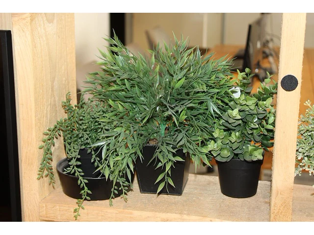 Diverse kunststof plantjes op drie schappen. - afbeelding 2 van  2