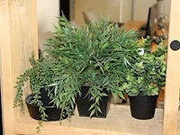 Diverse kunststof plantjes op drie schappen. - afbeelding 2 van  2