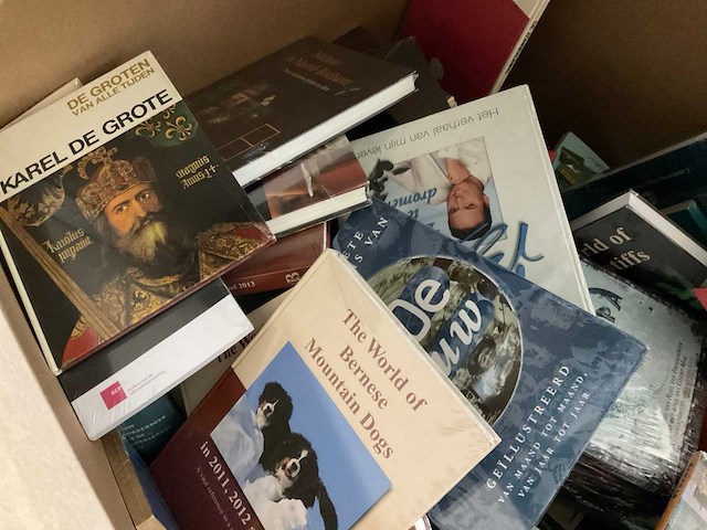 Diverse merken - partij (vintage) boeken - afbeelding 3 van  3