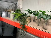 Diverse plantenpotten en vazen - afbeelding 1 van  9