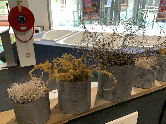 Diverse plantenpotten en vazen - afbeelding 3 van  9