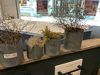 Diverse plantenpotten en vazen - afbeelding 5 van  9