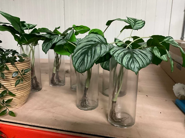 Diverse plantenpotten en vazen - afbeelding 6 van  9