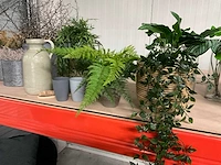 Diverse plantenpotten en vazen - afbeelding 7 van  9