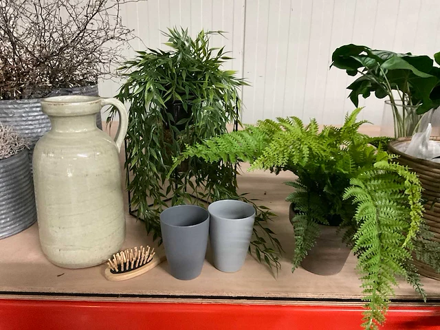 Diverse plantenpotten en vazen - afbeelding 8 van  9