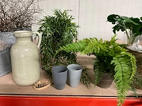 Diverse plantenpotten en vazen - afbeelding 8 van  9