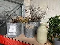 Diverse plantenpotten en vazen - afbeelding 9 van  9