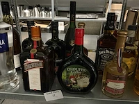 Diverse sterke drank (44x) - afbeelding 2 van  14